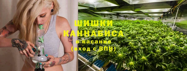 крисы Краснослободск