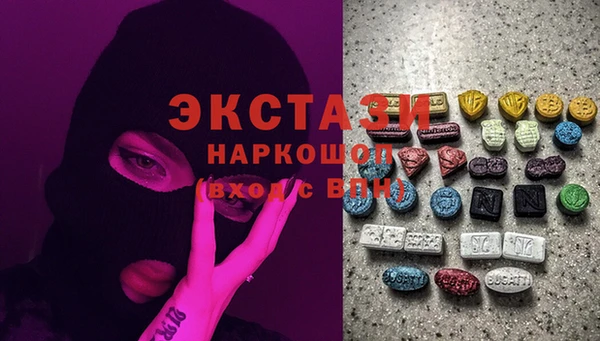 крисы Краснослободск