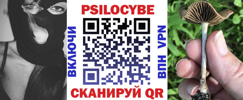 хочу   Жердевка  Галлюциногенные грибы мицелий 