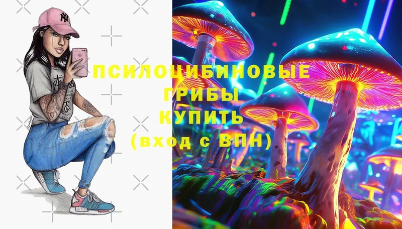 Псилоцибиновые грибы MAGIC MUSHROOMS  Жердевка 