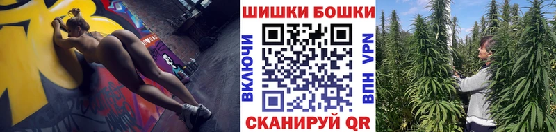 купить   Жердевка  Конопля семена 